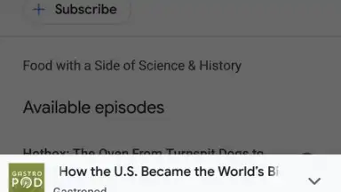 Screenshot von Google Podcasts 6