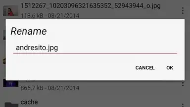 Screenshot von Sliding Explorer 4