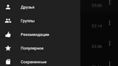Screenshot von BiRD - Музыка из ВК 2