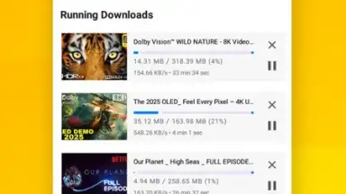 Screenshot von Vidora YouTube Downloader | free & fast 9