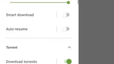 Screenshot von Advanced Download Manager 10
