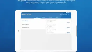 Screenshot von Halkbank 2