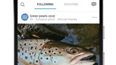 Screenshot von FishBrain 5