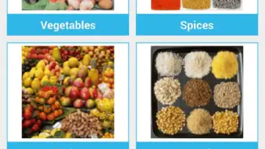 Screenshot von Food Dictionary 5