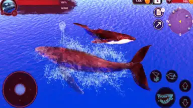 Screenshot von The Humpback Whales 21