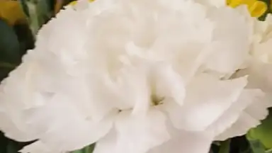 Screenshot von Open Camera 1