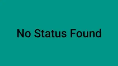 Screenshot von Whatsapp Status Saver 1