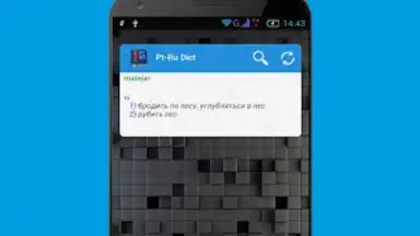 Screenshot von Португальско-русский словарь 1