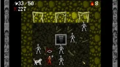 Screenshot von Ananias Mobile Roguelike 5