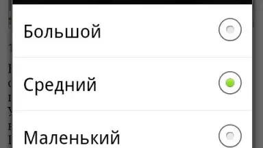 Screenshot von Lenta.ru 2