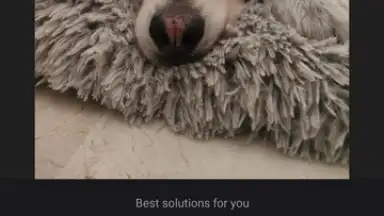 Screenshot von Wink 12