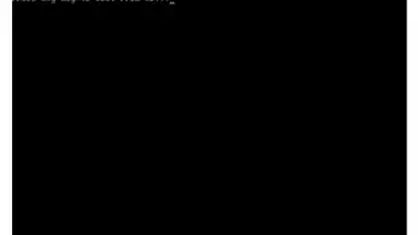Screenshot von Install Windows 8 Tutorial 3
