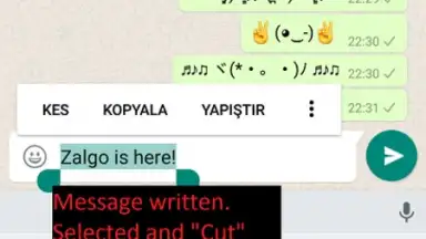 Screenshot von Upside Down Chat+ 13