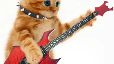 Screenshot von Talking, Dancing Cat. 3