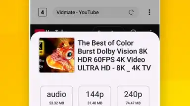 Screenshot von Vidora YouTube Downloader | free & fast 2
