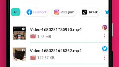 Screenshot von Video Downloader 2