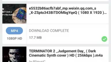 Screenshot von YVideo Downloader 2
