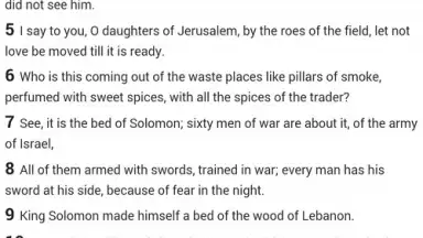 Screenshot von Easy to read Bible 4