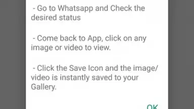 Screenshot von WA Status Downloader 1