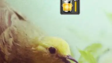 Screenshot von Deep Sleep Battery Saver 4