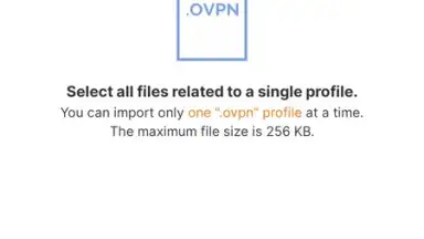 Screenshot von OpenVPN Connect 7