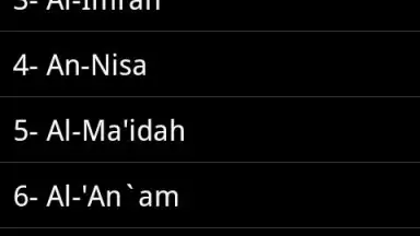 Screenshot von Quran MP3 With Indonesian 3