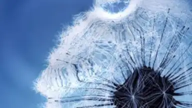 Screenshot von Galaxy S3 Live Wallpaper 1