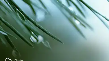 Screenshot von GO Weather Forecast and Widgets 6