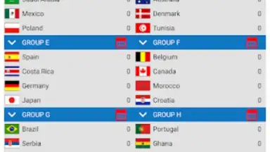 Screenshot von World Football Simulator 3