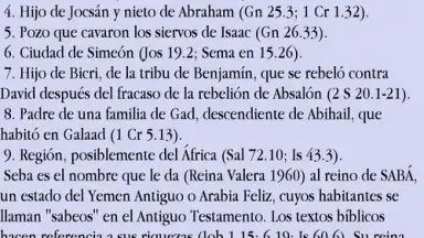 Screenshot von Diccionario Bíblico Nelson 6