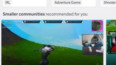 Screenshot von Twitch 4