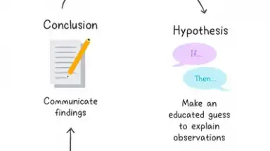 Screenshot von Socratic by Google 5