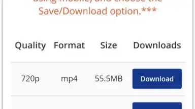 Screenshot von Pick Video downloader 10