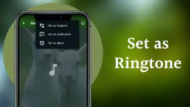Screenshot von Goat Sounds 8