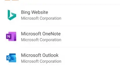 Screenshot von Company Portal 3