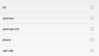 Screenshot von OpenVPN 14