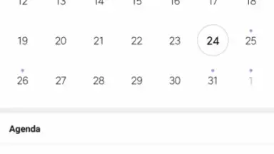 Screenshot von Mi Calendar 1