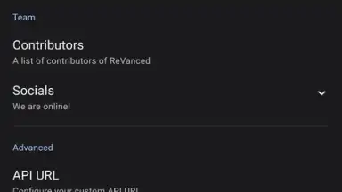 Screenshot von ReVanced Manager 5