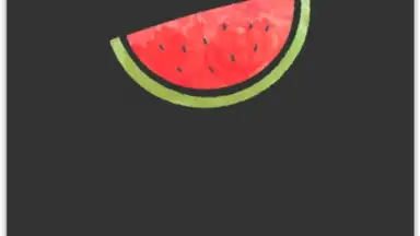 Screenshot von VPN Melon 1