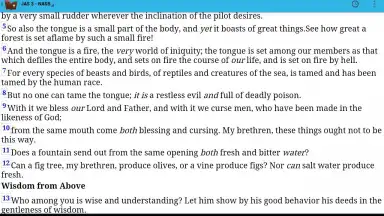 Screenshot von Live Bible 5