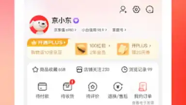 Screenshot von Jingdong 10