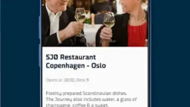 Screenshot von DFDS 1