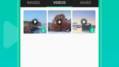 Screenshot von WAStatusGrabD 3