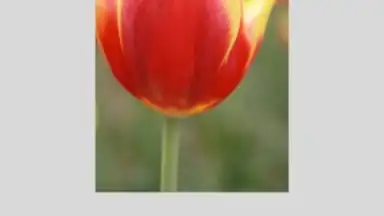 Screenshot von Canon PRINT Inkjet/SELPHY 3