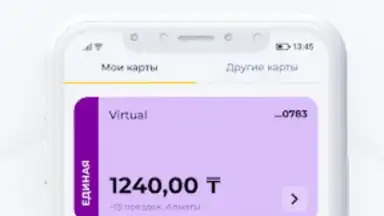 Screenshot von ONAY! Общественный транспорт 4