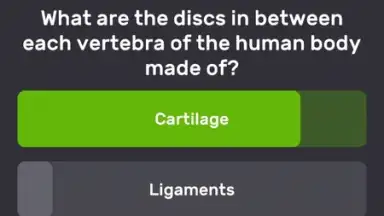 Screenshot von QuizzLand 5