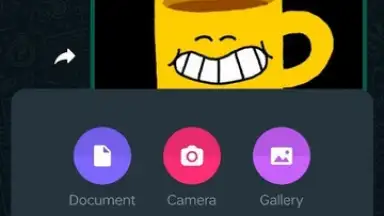 Screenshot von WhatsApp Messenger 28