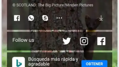 Screenshot von 4K Browser 6