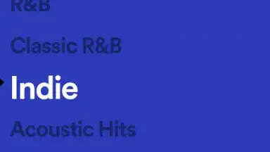 Screenshot von Spotify Stations 12