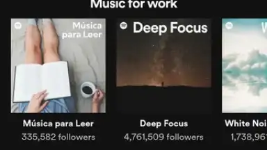 Screenshot von Spotify Lite 2